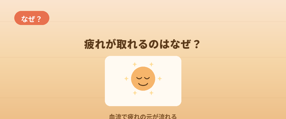 サウナで「疲れが取れる」のはなぜ？