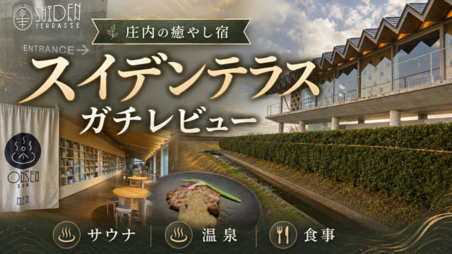 【レビュー】スイデンテラスのサウナが最高すぎた【サウナシュラン】