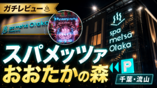 【レビュー】スパメッツァおおたかのドラゴンサウナの迫力えぐい