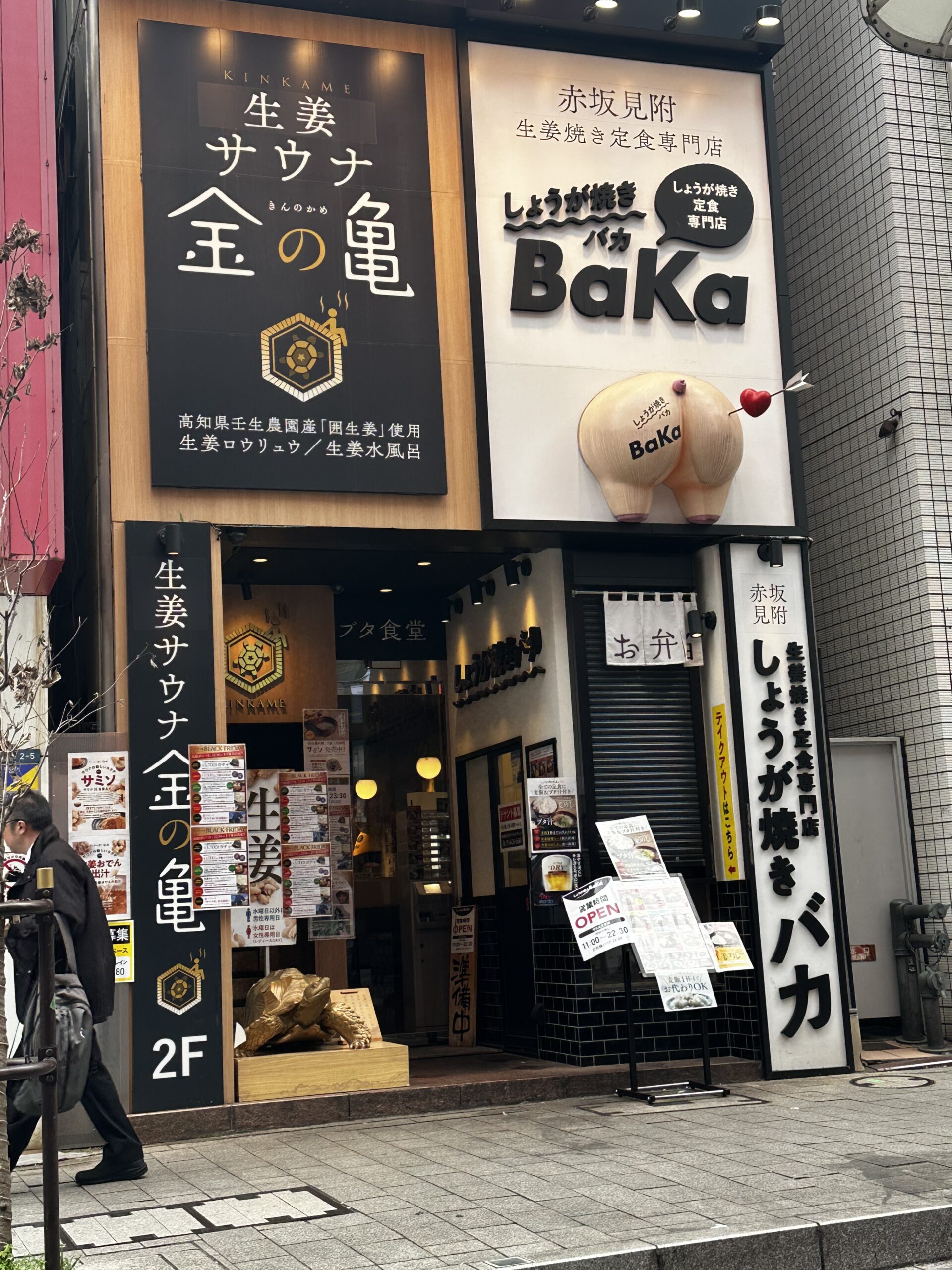 金の亀のレビューまとめ