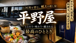 【宿泊】平野屋のサウナをガチレビュー！過去最高の宿だった件。
