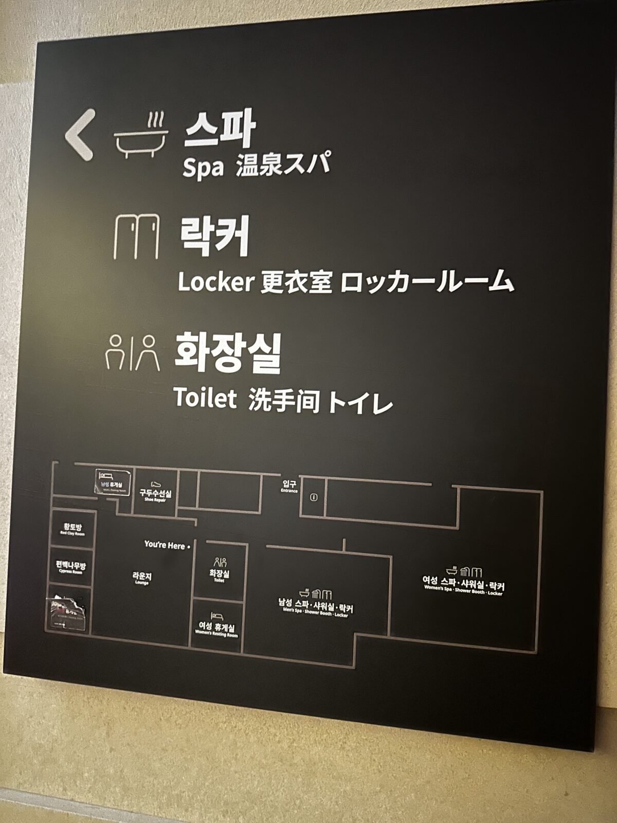 まとめ（総合評価）